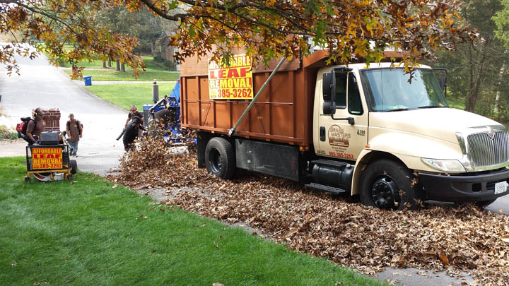 Should I Use My Lawn Mower To Pick Up Leaves In The Fall? - Lawn Mower  Recycle & Disposal Service