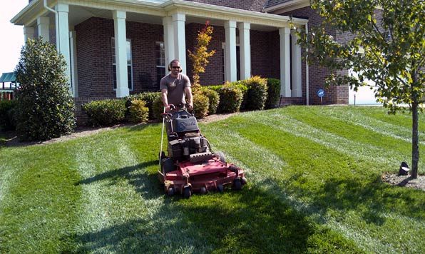 Picture of Commercial Lawn and Grass Mower
