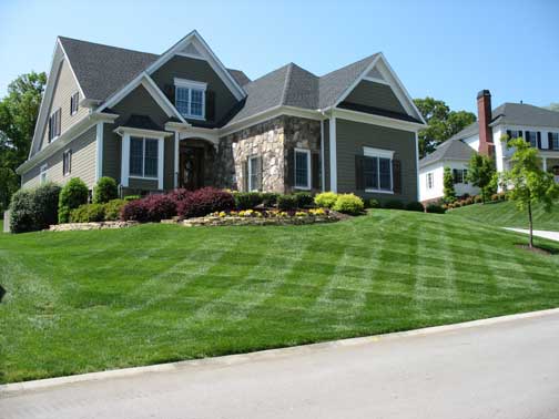 Use our Coupons to keep your yard beautiful all year long !